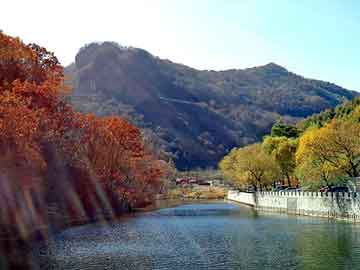 澳门二四六天天彩图库，帝森抽油烟机